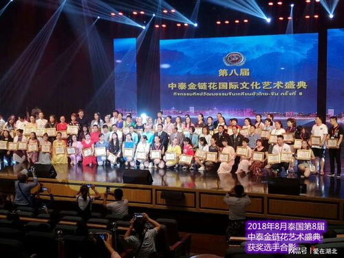 第九屆中國(guó)藝術(shù)新星國(guó)際文化藝術(shù)節(jié)湖北選區(qū)海選報(bào)名登記