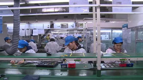 暑假,大學(xué)生涌入富士康流水線