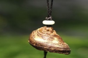 海灘驚現(xiàn)怪獸尸體掛件_天然沉香掛件廠家供應_買廠家供批發(fā)價格_歸于真(廈門)文化藝術(shù)-展銷頻道